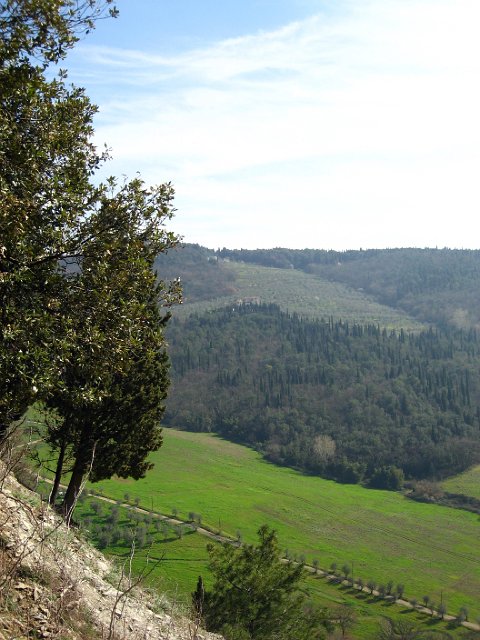 Fiesole - Parco di Montececeri-26.JPG